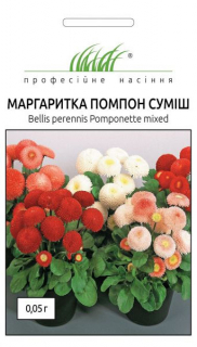 Маргаритки Помпон суміш багаторічна (0.05г)