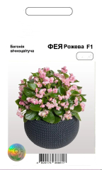 Бегонія Фея рожева  F1 АПГ (20шт)