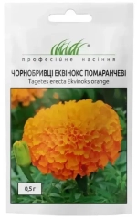 Чорнобривці Еквінокс помаранчеві (0.5г)