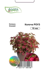 Колеус блюмей Колоча Роуз (10шт)