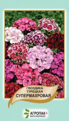 Гвоздика турецька супермахрова (5г)
