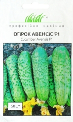 Огірки Авенсіс F 1 (50шт)