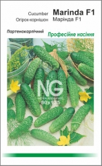 Огірки Марінда F1 (100шт)