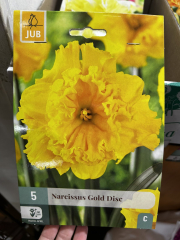Нарцис GOLD DISK (1шт)