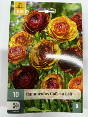 Лютики (ранункулус) CAFE AU LAIT (1шт)