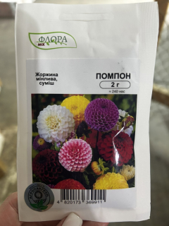 Жоржини Помпон суміш АПГ (2г)