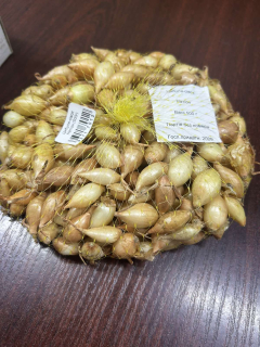 Цибуля-сівок Натіон (500г)