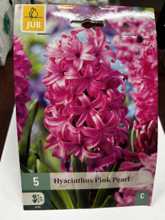 Гіацинт PINK PEARL (1шт)